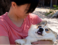 Corgi hug